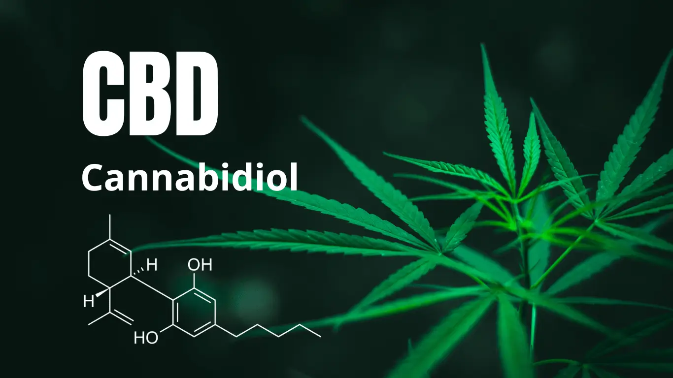 CBD Cannabidiol