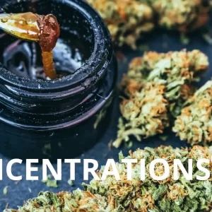 Concentrations de CBD