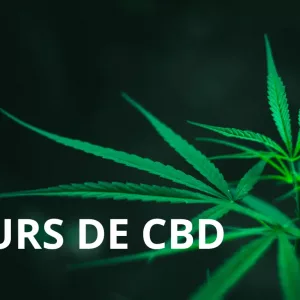 Fleurs de CBD