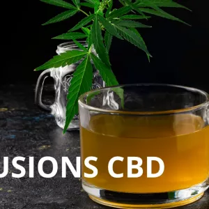 Infusions CBD