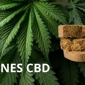 Résines de CBD