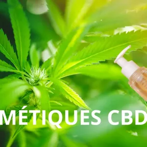 Cosmétiques CBD