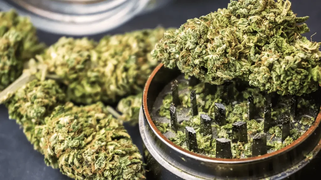 Fleurs CBD comment l'utiliser