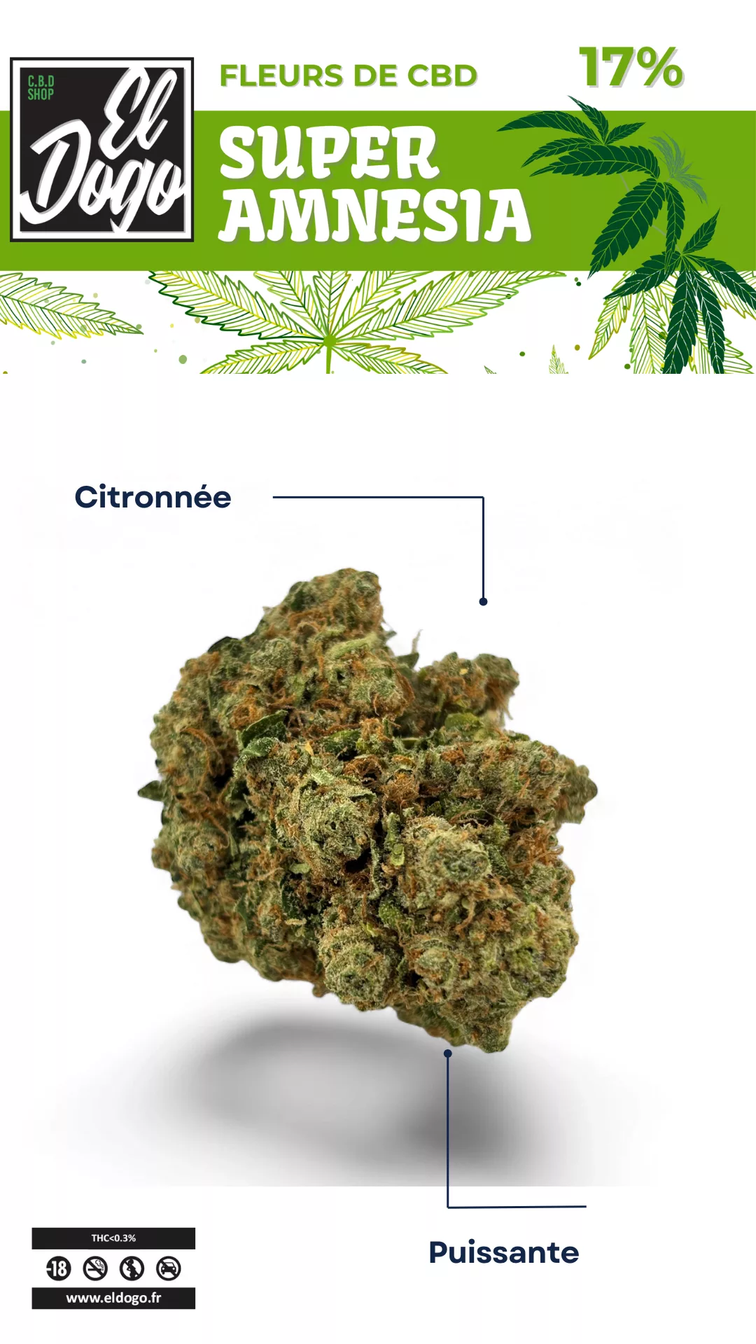 Super amnésia cbd el dogo cbd shop