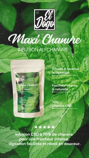 Infusion-Maxi-Chanvre-El-Dogo-CBD-Shop Arras