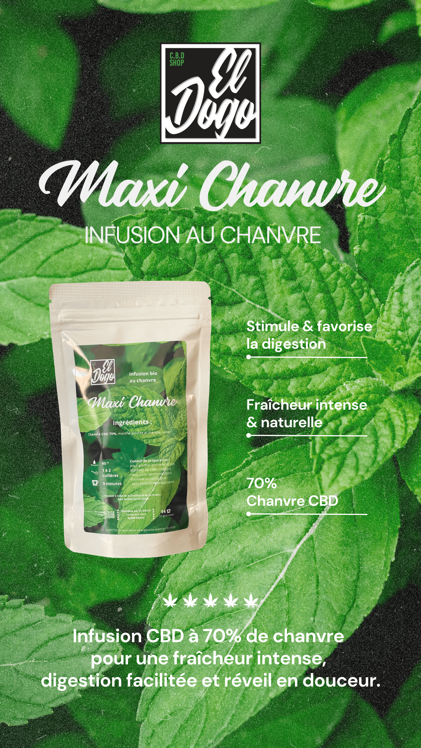 Infusion CBD Maxi Chanvre