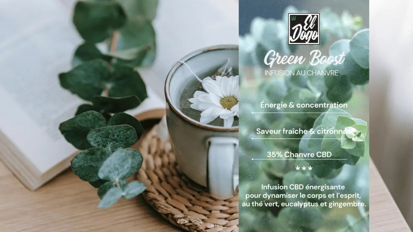 infusion chanvre green boost
