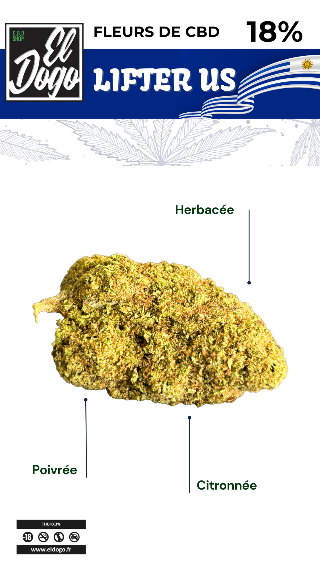 Lifter US CBD fleur herbacée, poivrée et citronnée d'origine uruguayenne