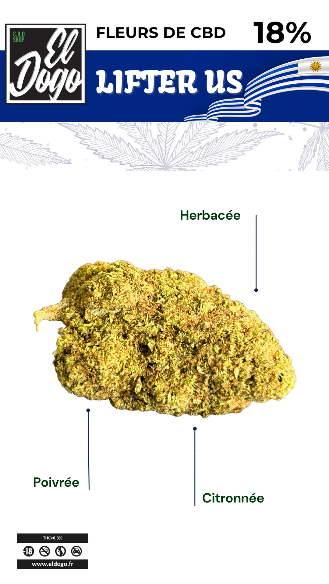 Lifter US CBD fleur herbacée, poivrée et citronnée d'origine uruguayenne