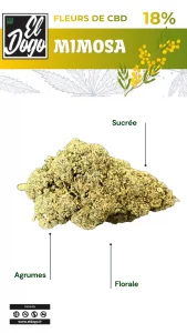 Mimosa cbd fleurs el dogo cbd shop