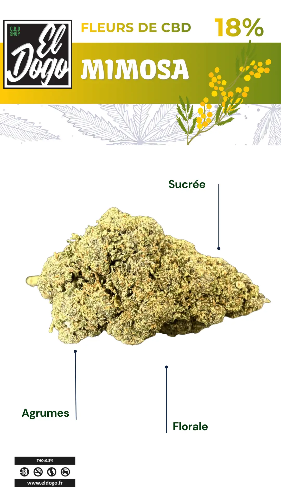 Mimosa cbd fleurs el dogo cbd shop