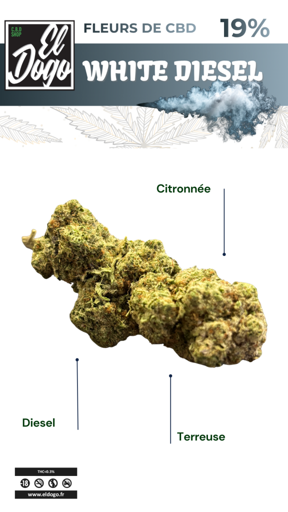 White diesel CBD