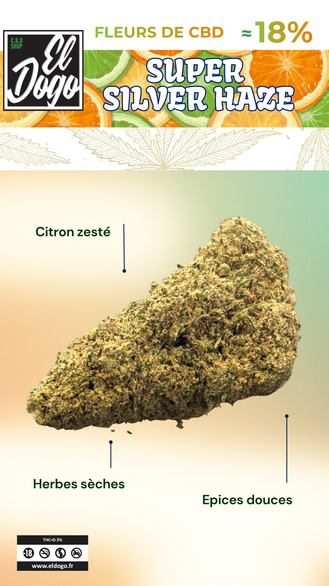 Découvrez la fleur CBD Super Silver Haze 18% : un profil aromatique citronné, herbacé et épicé, au caractère Haze intense et raffiné.