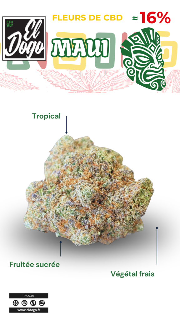 fleur de cbd maui 16% tropical, fruité sucré, végétal frais