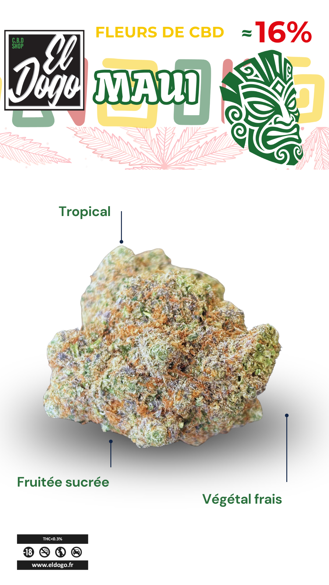 fleur de cbd maui 16% tropical, fruité sucré, végétal frais
