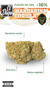 Fleurs CBD Mandarina Gorilla El Dogo CBD Shop Arras