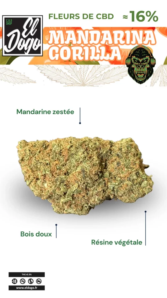 Fleurs CBD Mandarina Gorilla El Dogo CBD Shop Arras
