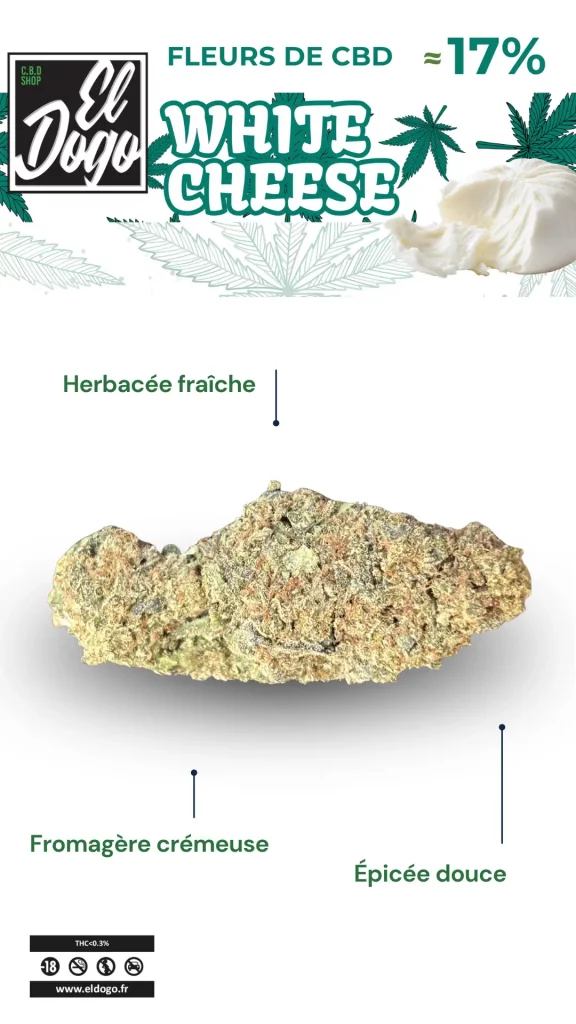 Fleurs White Cheese CBD 17_ El Dogo CBD Shop