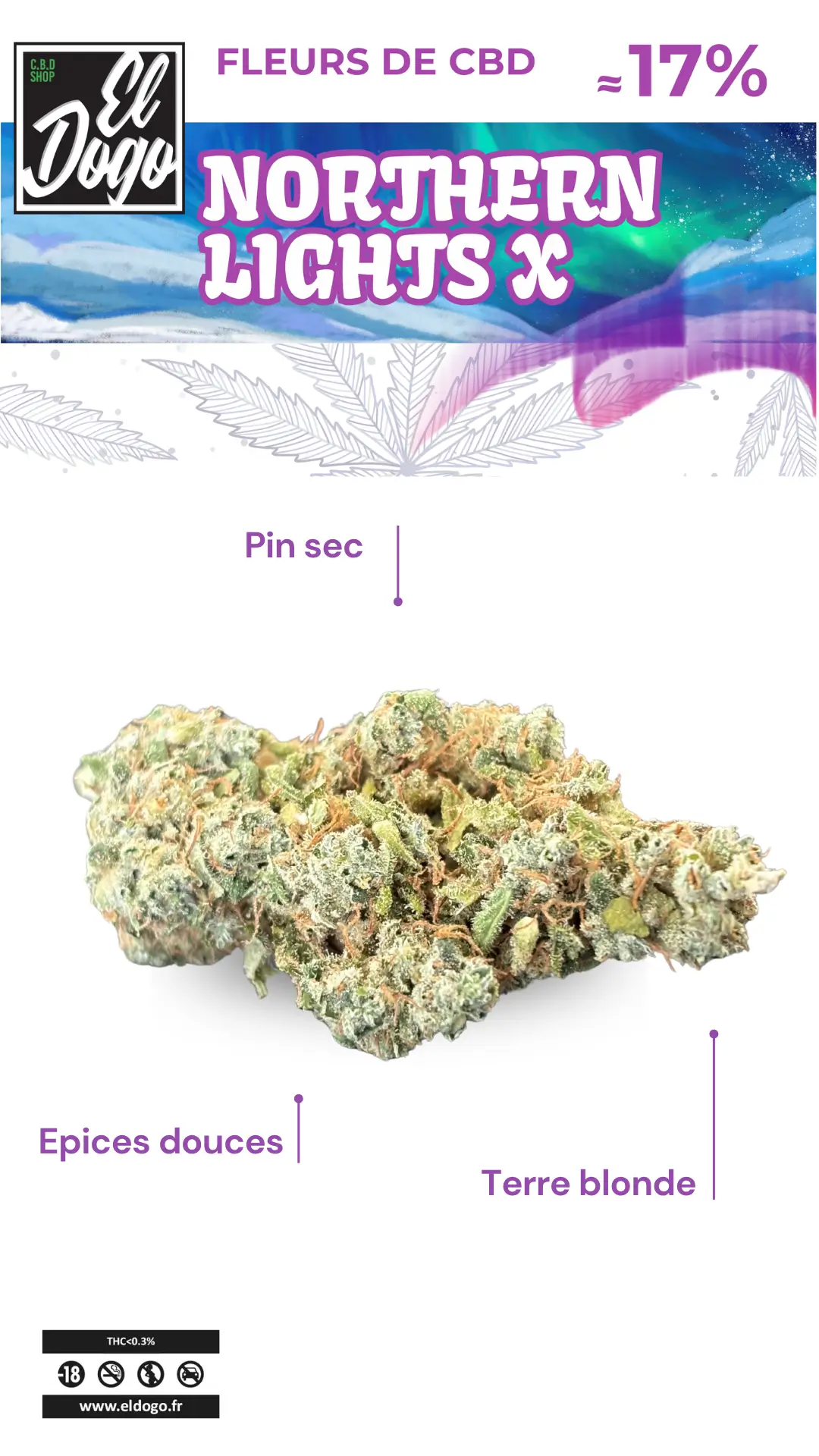 Northern Lights X -Promo