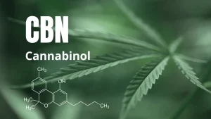 CBN Cannabinol