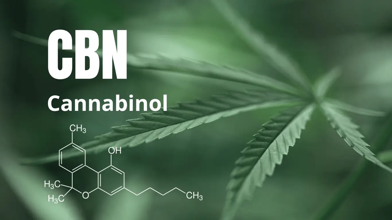 CBN Cannabinol